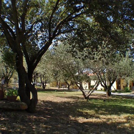 Sa Reina B&B Villamassargia