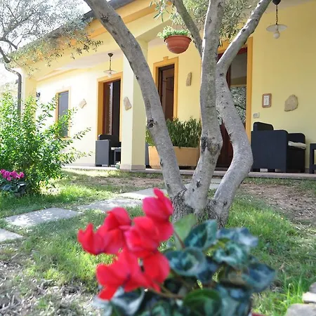Sa Reina * Villamassargia